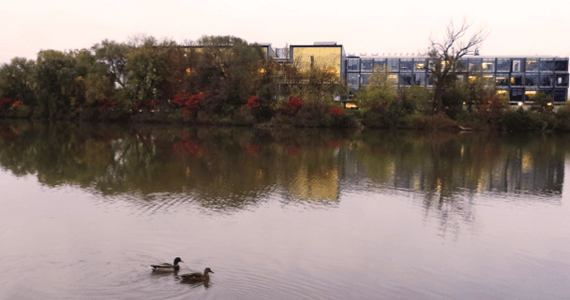 Campus buildings beside a body of water.
