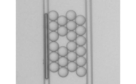 23 equal sized oil droplets in a 2D array being squeezed by two rods. The droplets make a perfect hexagonally packed structure with one void.