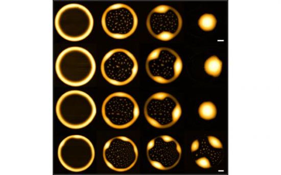 Atomic force microscopy images of a section of a torus. The torus, being a liquid breaks up into droplets.