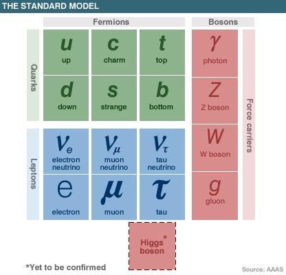 The Standard Model Organization