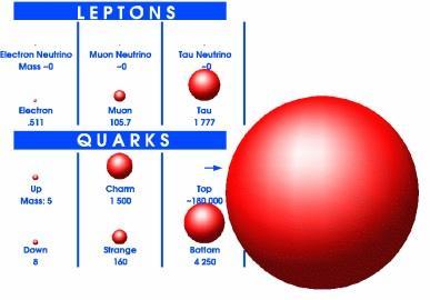 Leptons and Quarks