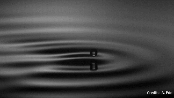 photo of water droplet