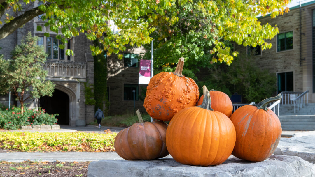 group of pumpkins on a stone