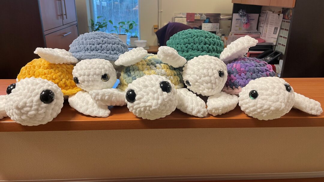 Knitted turtles