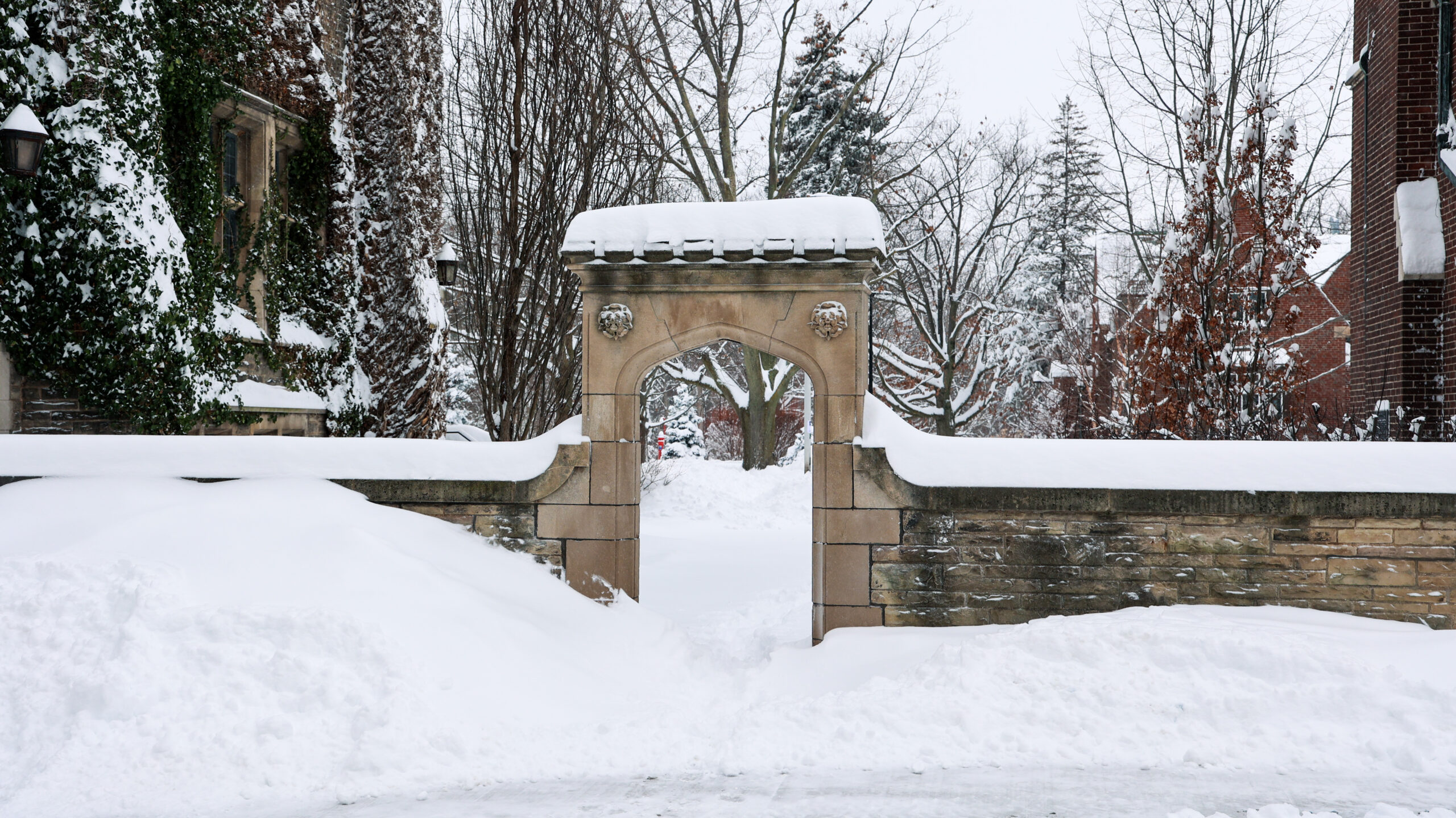 McMaster Winter snow photo